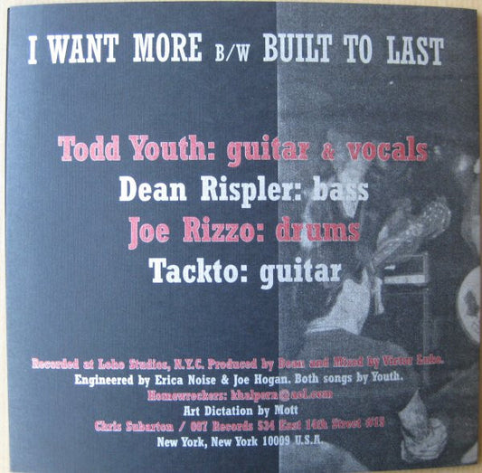 Homewreckers (2) : I Want More B/W Built To Last (7",45 RPM,Single,Limited Edition)