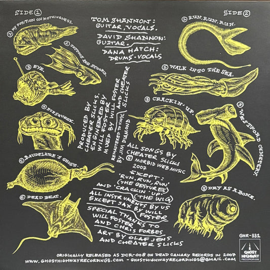 Cheater Slicks : Walk Into The Sea (LP,Album,Remastered,Stereo)