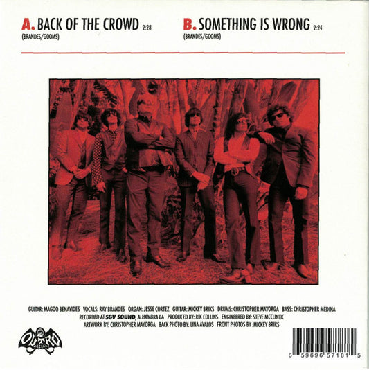 Ray Brandes And Wyld Gooms, The : Back Of The Crowd / Something Is Wrong (7",45 RPM,Single)