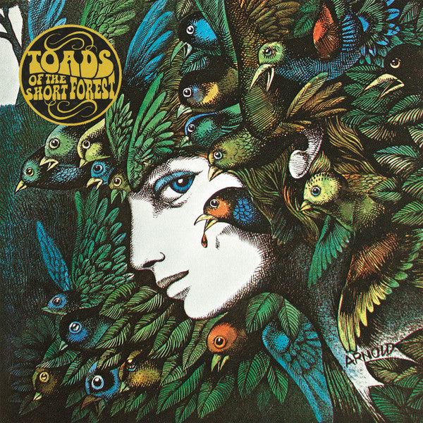 Toads Of The Short Forest : Mindmower (LP,Album,Mono)