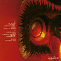 Soft Hearted Scientists : Take Time To Wonder In A Whirling World (LP,Album)