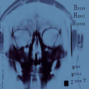 Brian Hooper : What Would I Know? (LP,Album)