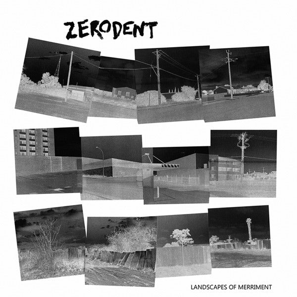 Zerodent : Landscapes Of Merriment (LP,Limited Edition)