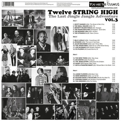 Various : Twelve String High Vol. 3 (LP,Compilation)