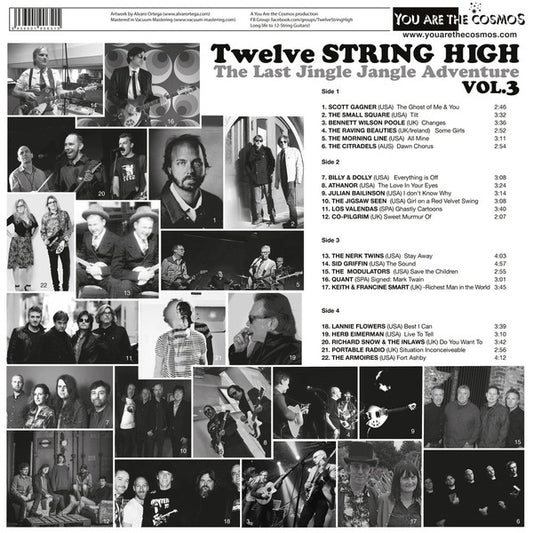 Various : Twelve String High Vol. 3 (LP,Compilation)