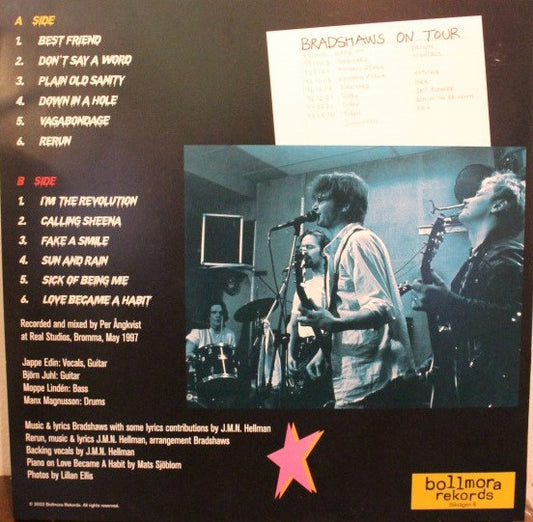 Bradshaws (2) : Beautiful Harmony Feedback (LP,Album)