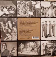 Various : Diggin' For Gold Vol 13 (A Collection Of Demented 60' R&B/Punk & Mesmerizing Pop.) (LP,Compilation,Limited Edition)