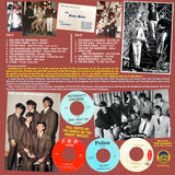 Various : 60's Forgotten Things Vol. 2 - It Won't Last!! (LP,Compilation,Limited Edition)