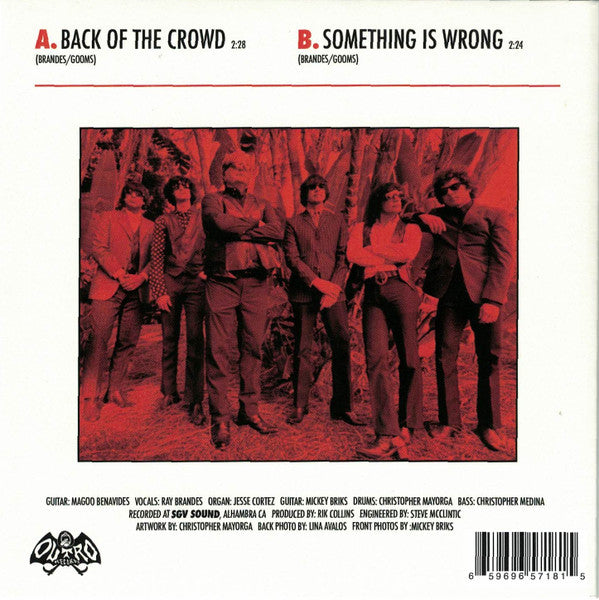 Ray Brandes And Wyld Gooms, The : Back Of The Crowd / Something Is Wrong (7",45 RPM,Single)