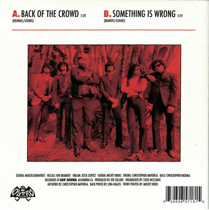 Ray Brandes And Wyld Gooms, The : Back Of The Crowd / Something Is Wrong (7",45 RPM,Single)