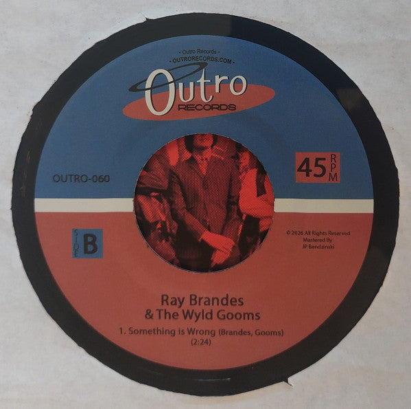 Ray Brandes And Wyld Gooms, The : Back Of The Crowd / Something Is Wrong (7",45 RPM,Single)