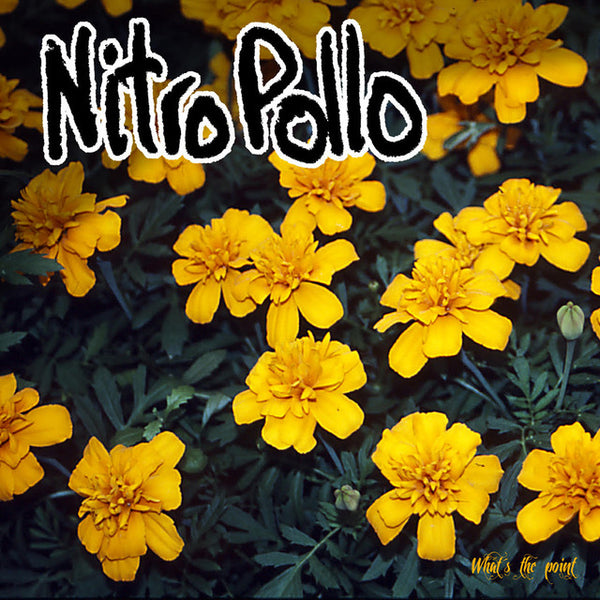 NitroPollo - What’s The Point