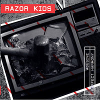 Randy Savages, Razor Kids – Seaguls / Deliquents Dropouts / Abusive / Perfect Harmony