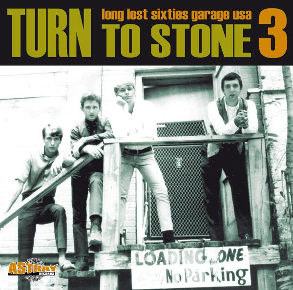 Various – Turn To Stone 3 (Long Lost Sixties Garage USA)