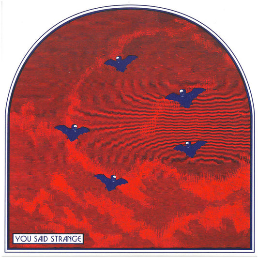 You Said Strange – Mourning Colors